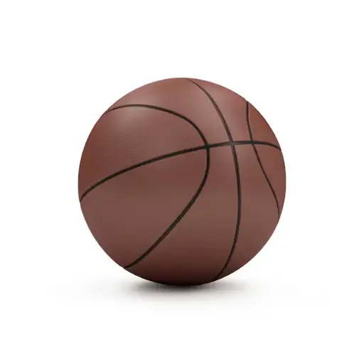 [BLLB] BALLON BASKET ON MODE MARRON